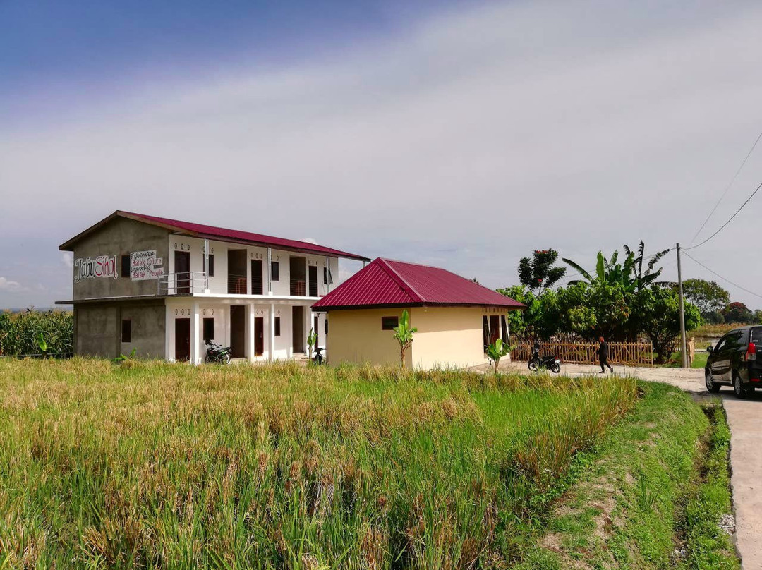 Jabu Sihol legacy主图