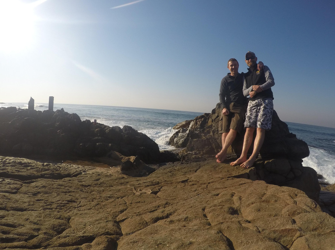 African Studio Safaris-Johannesburg South必去景点