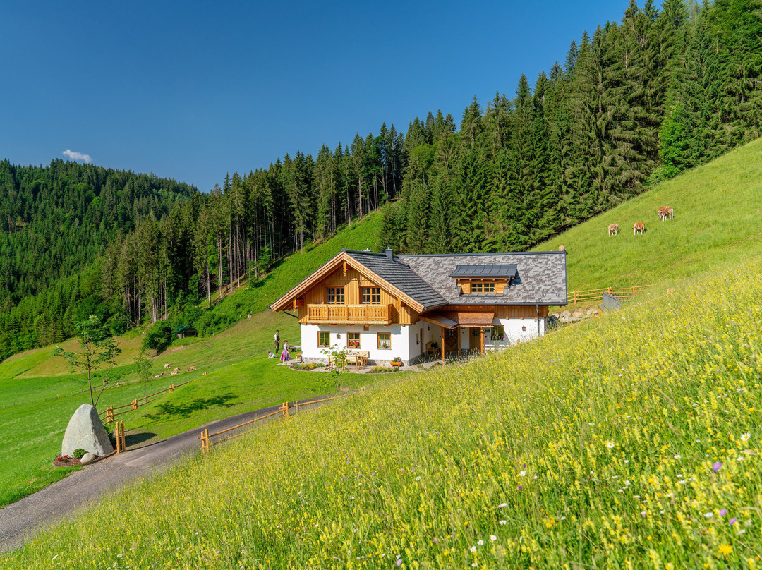 Almchalet Linharterhof
