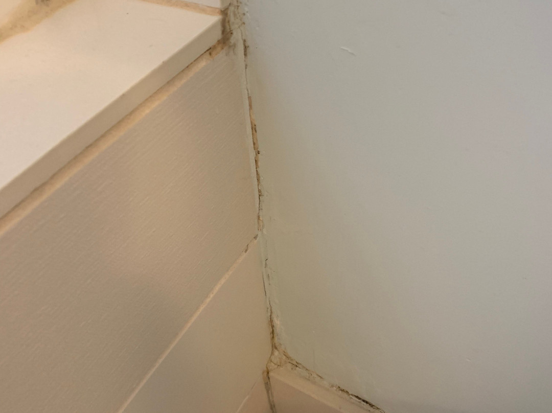 野草莓Spa酒店主图