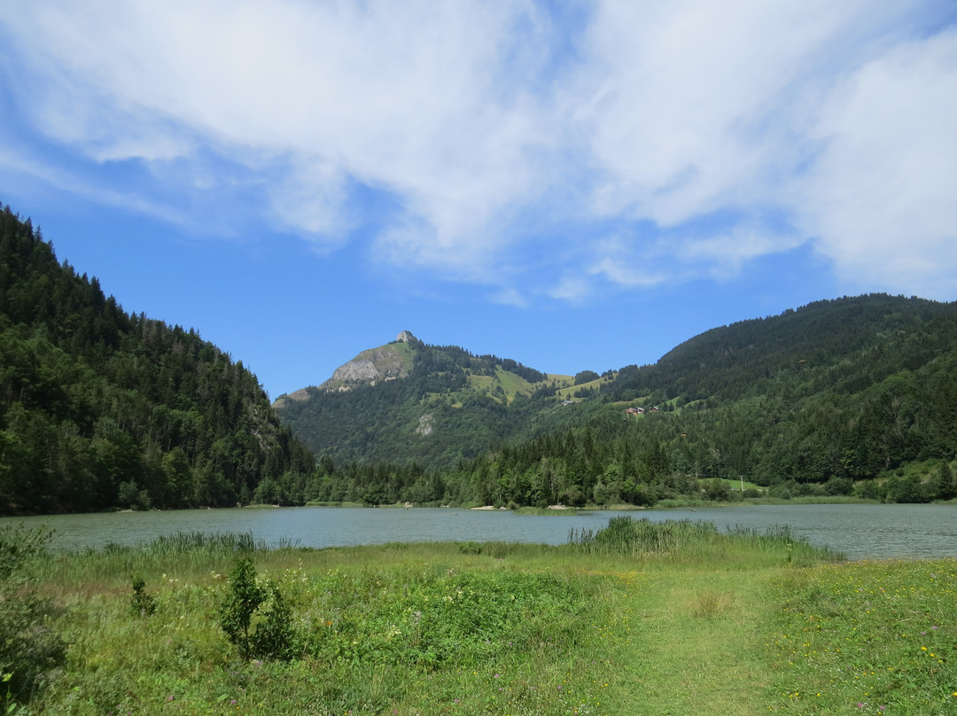 Lac de Vallon景点图片