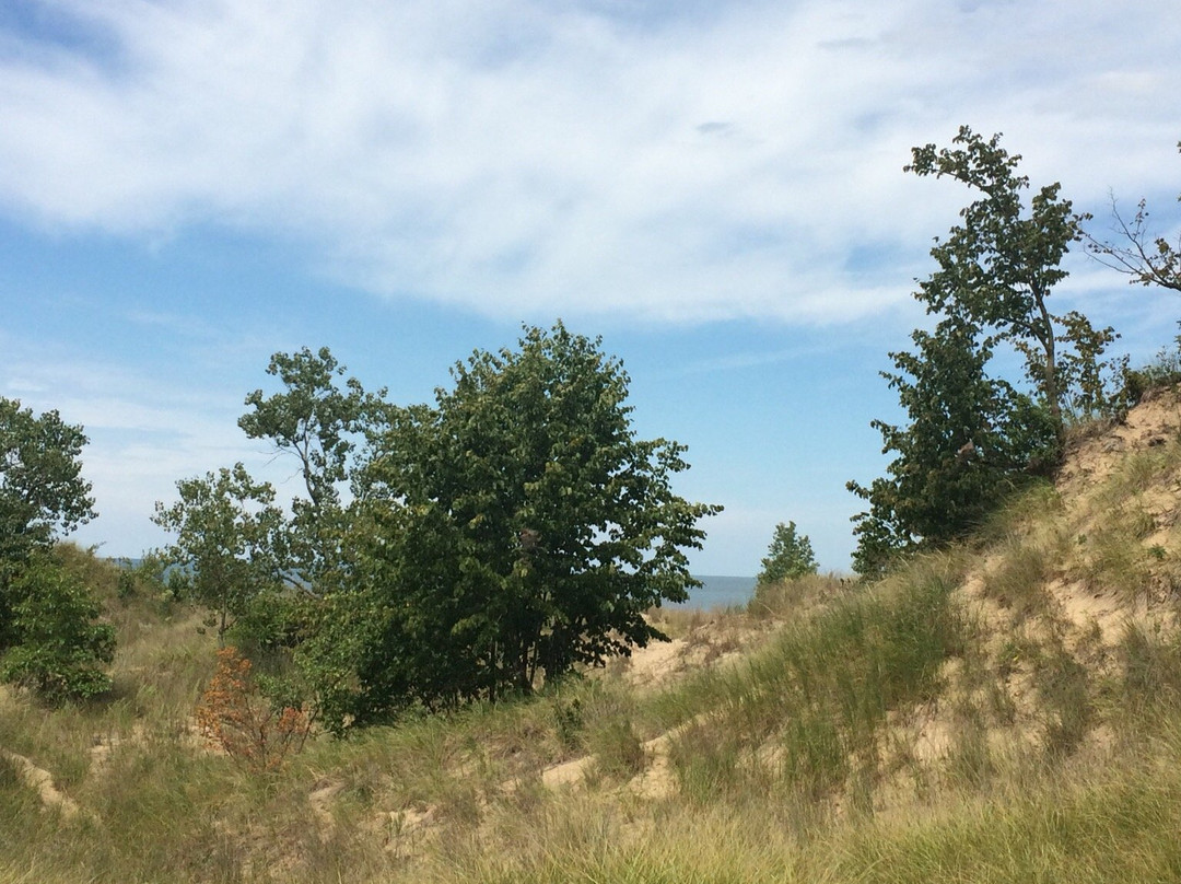 Grand Mere State Park-Stevensville必去景点