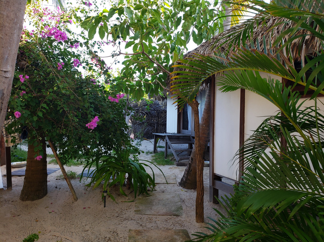 Santa Maria Atins主图