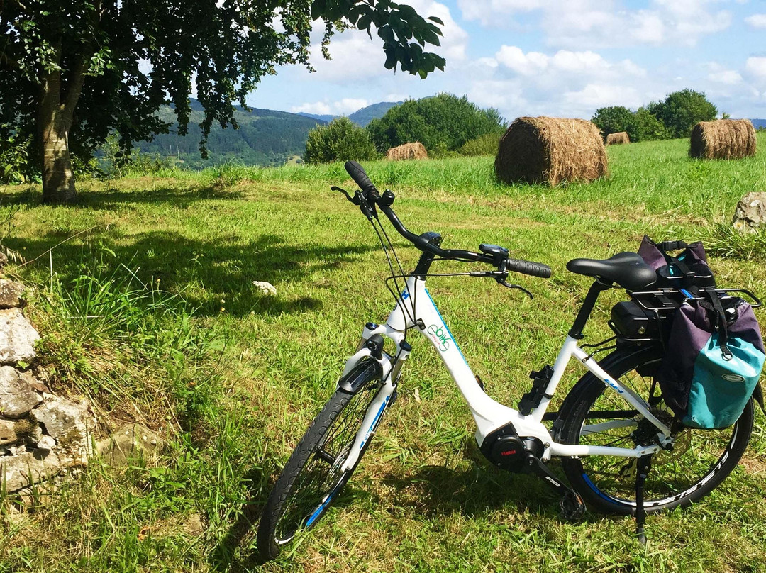 eBike Basque景点图片