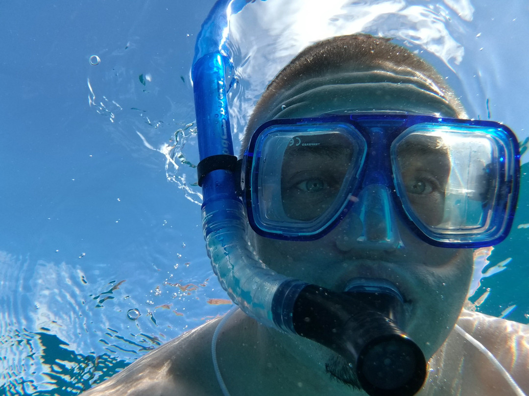 Diamond Head Cruises-火奴鲁鲁必去景点