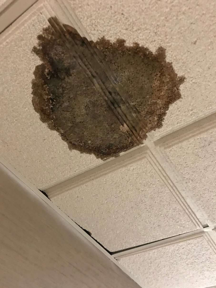 埃尔帕索机场浩枫温德姆公寓店-浴室