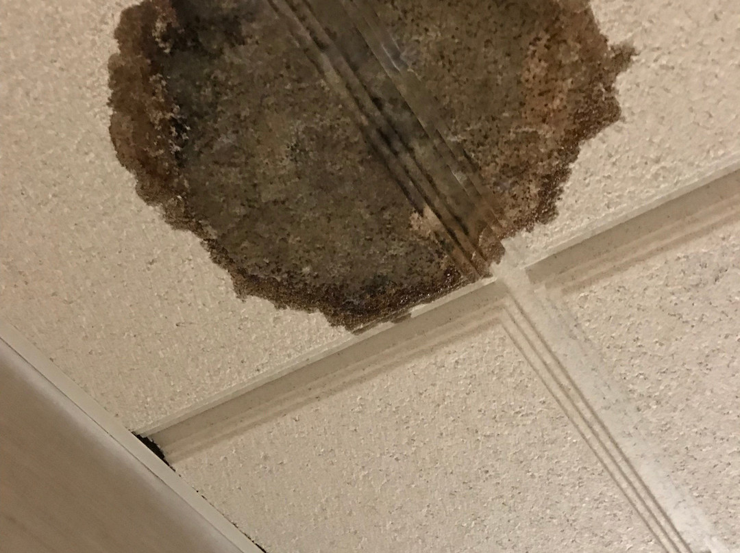 埃尔帕索机场浩枫温德姆公寓店主图