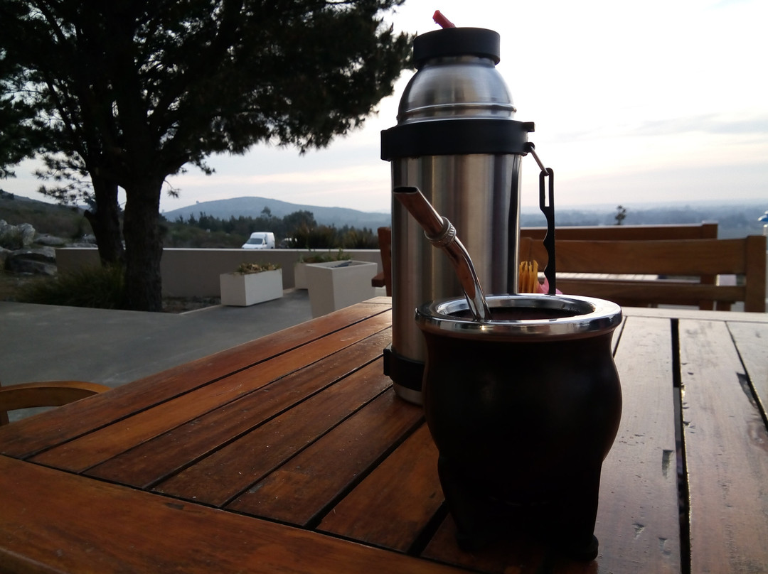 Elegance Hotel主图