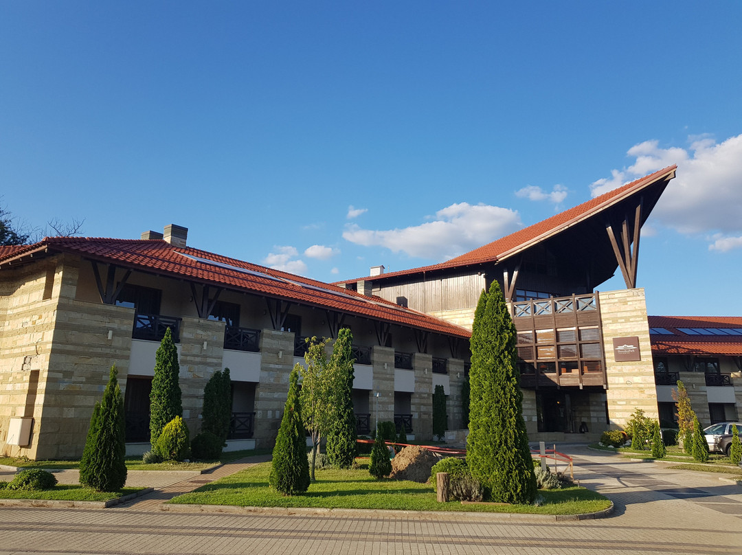 Hotel Danubia Park主图