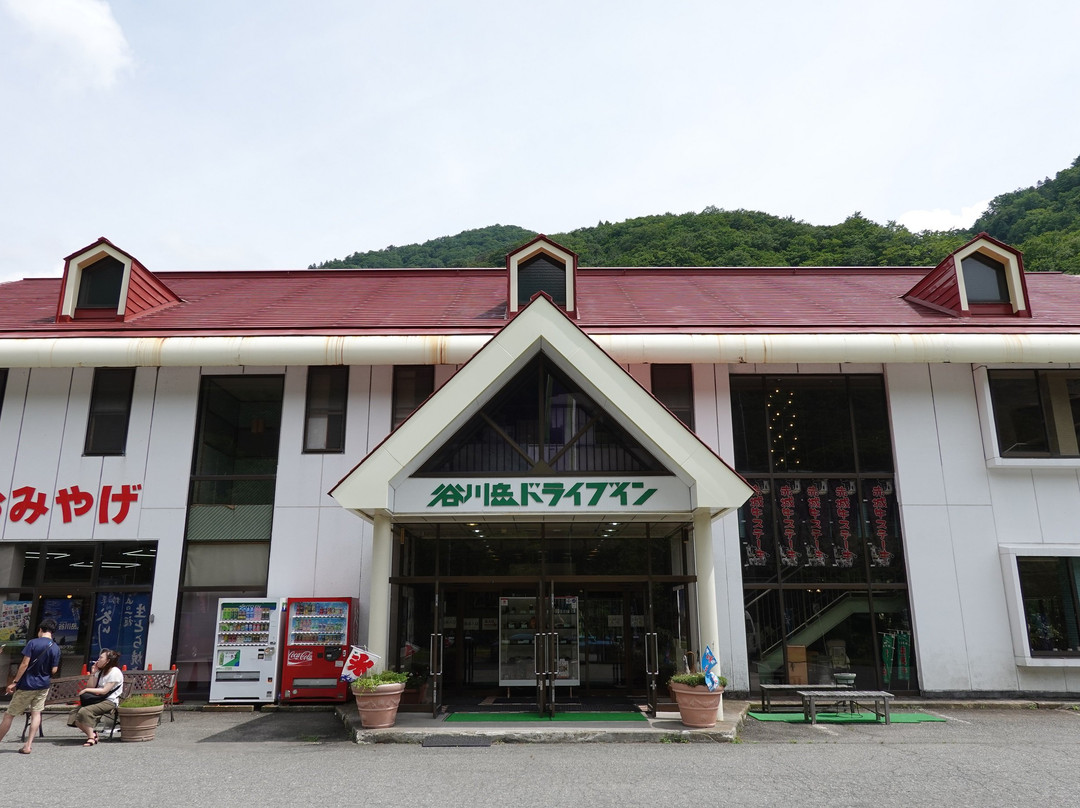 Tanigawadake Drivein景点图片