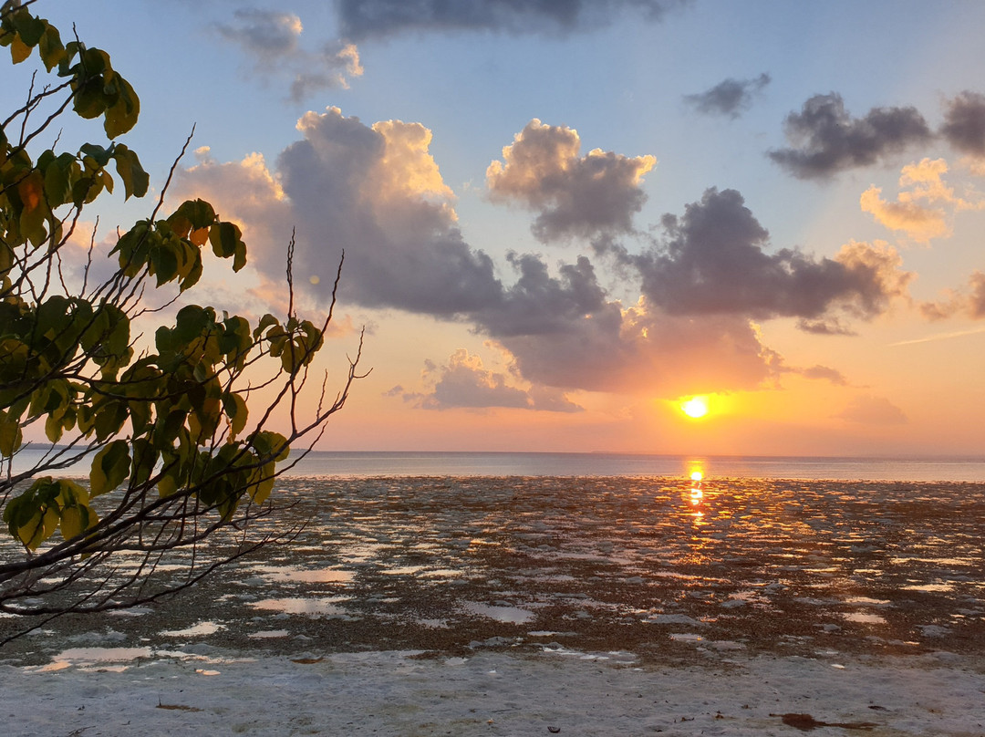 Hoga Island Dive Resort主图