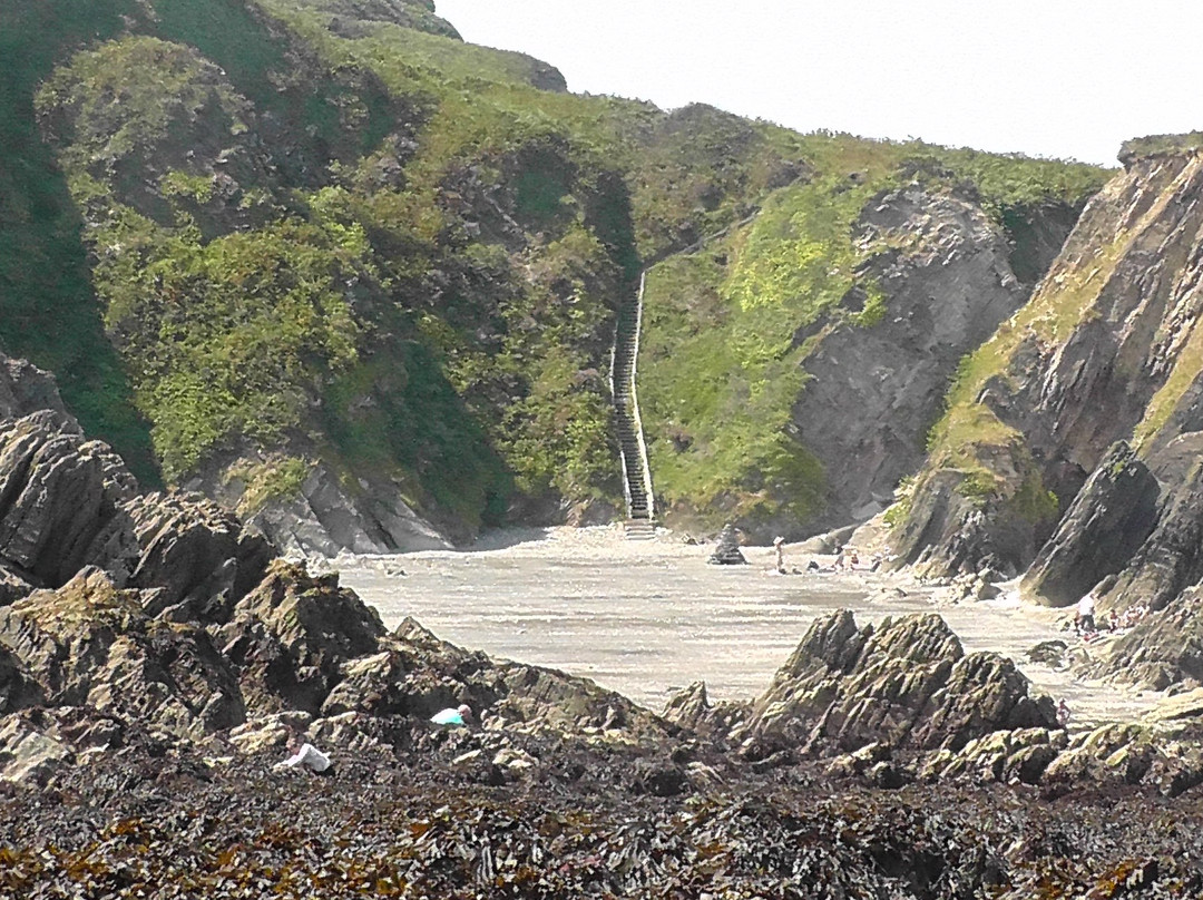 Lee Bay Beach-伊尔弗勒科姆必去景点