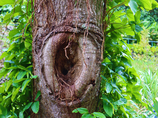 VERONICA GAYA-马洛卡岛必去景点
