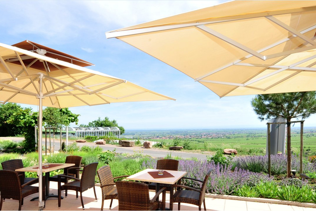 维恩贝格豪斯酒店主图