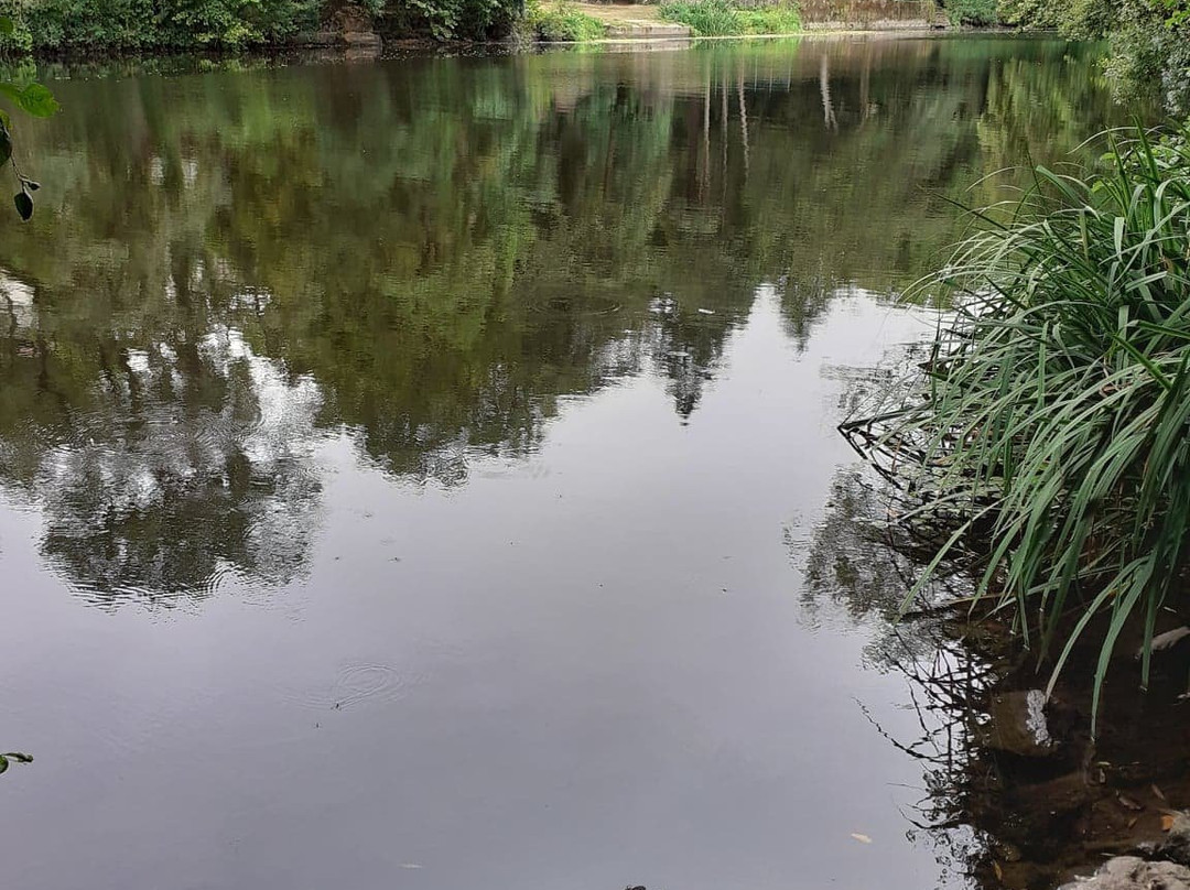 Gétigné Canoë Kayak景点图片