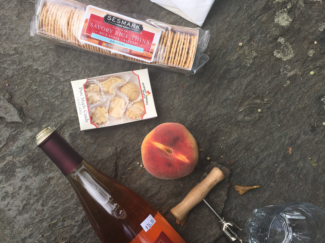 Vermont Shepherd-普特尼必去景点