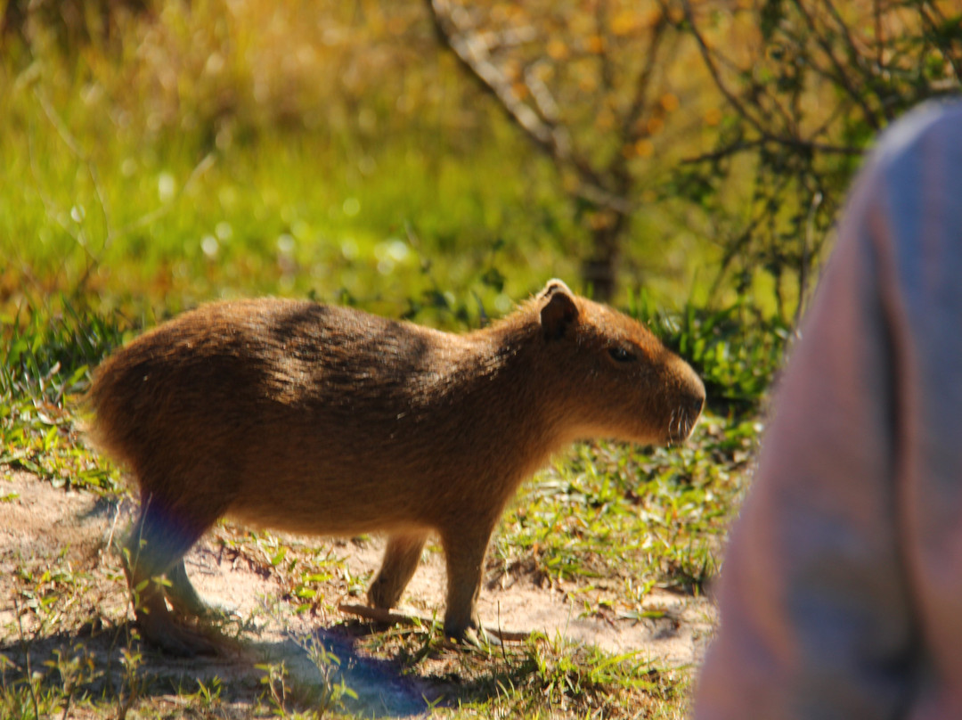 Ecoposada del Estero主图