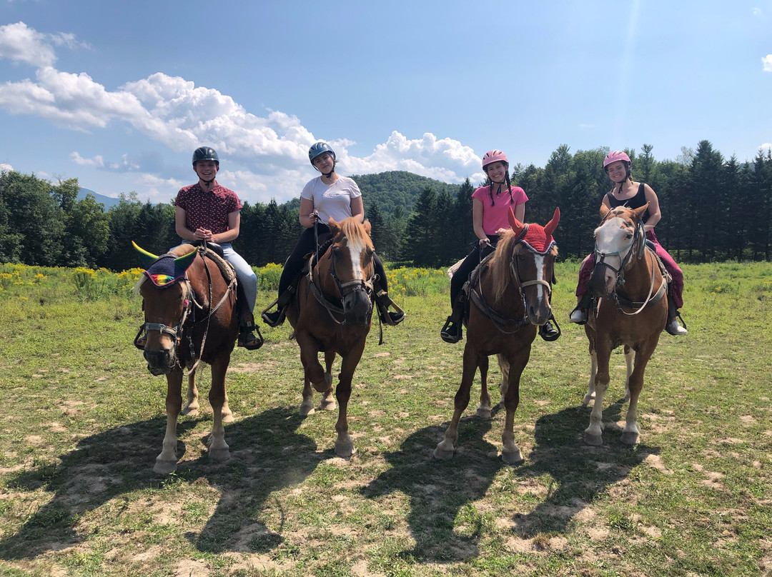Lajoie Stables-Jeffersonville必去景点