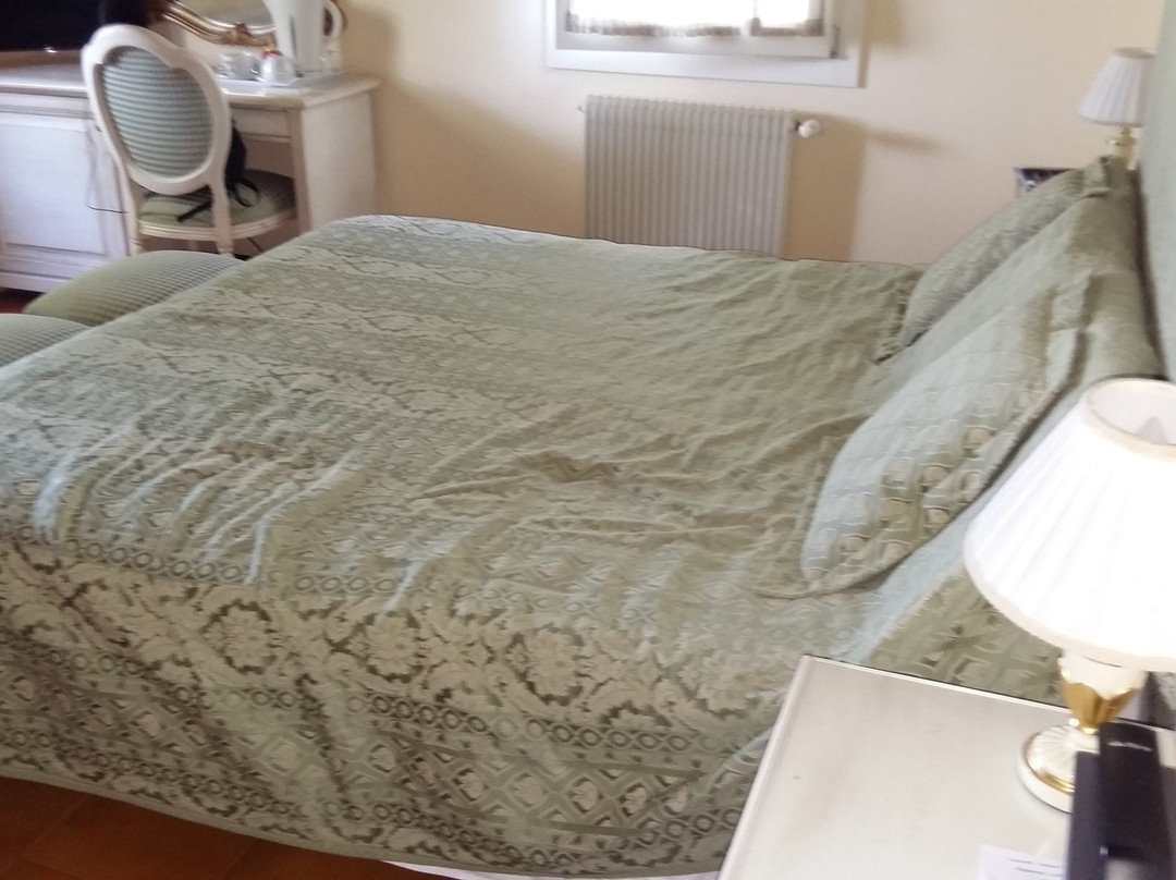 Hotel Antica Fenice主图