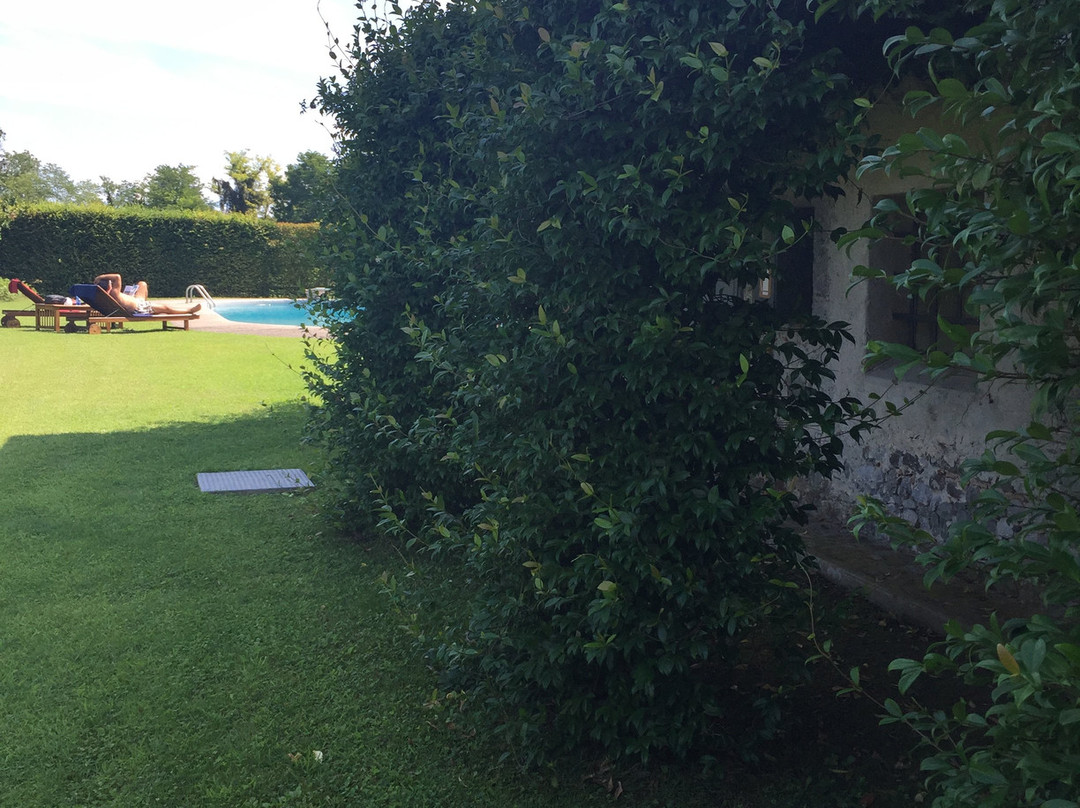 Mulino Stel
