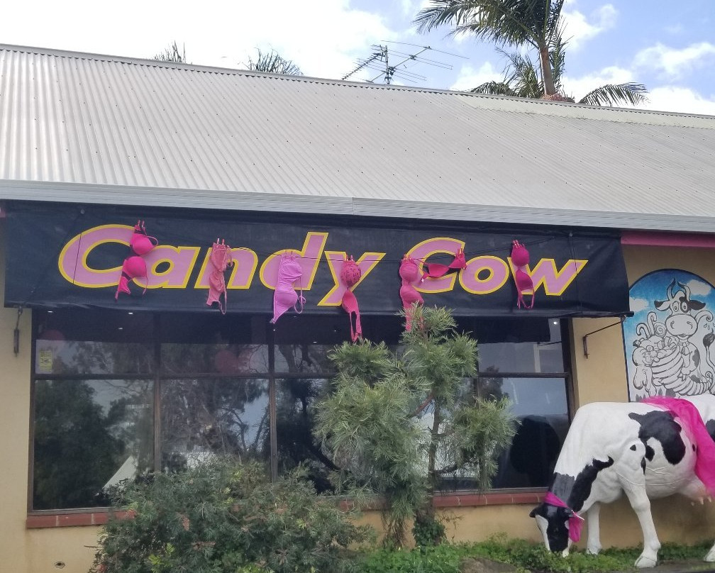 Candy Cow景点图片
