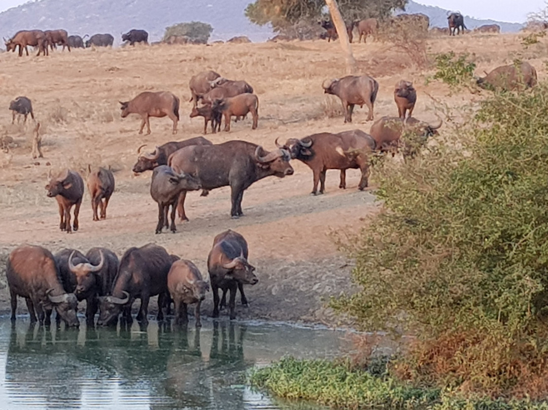 Tripskenya-瓦塔木必去景点