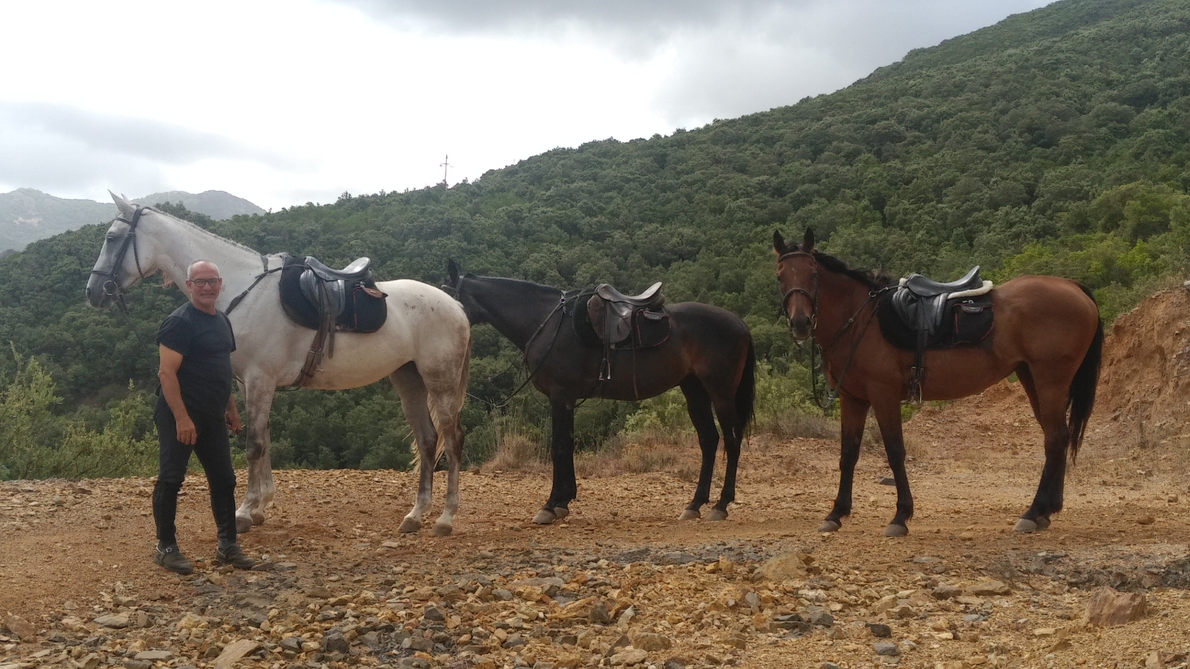 Centro di Turismo Equestre B&B Shangrila-官方