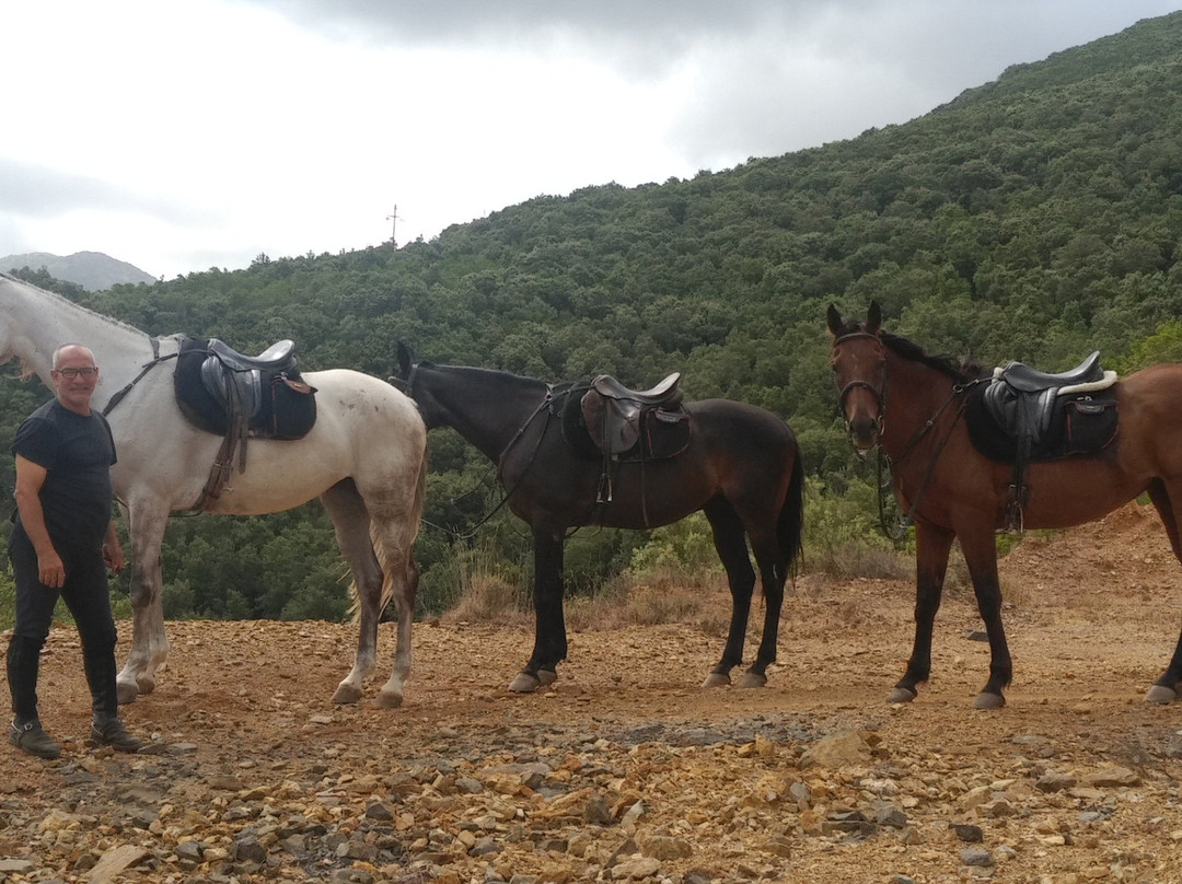 Centro di Turismo Equestre B&B Shangrila主图