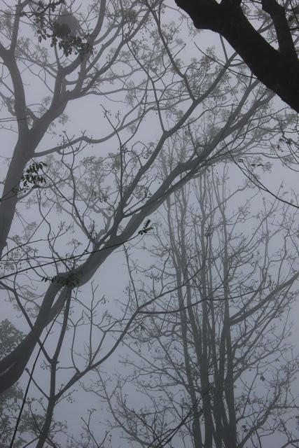 Stream Garden Mountain Resort主图