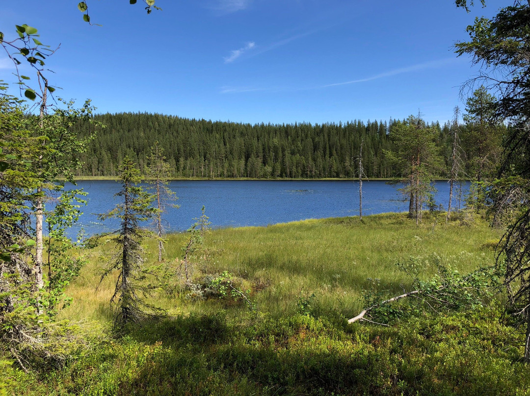 Pure Lapland - Tours景点图片