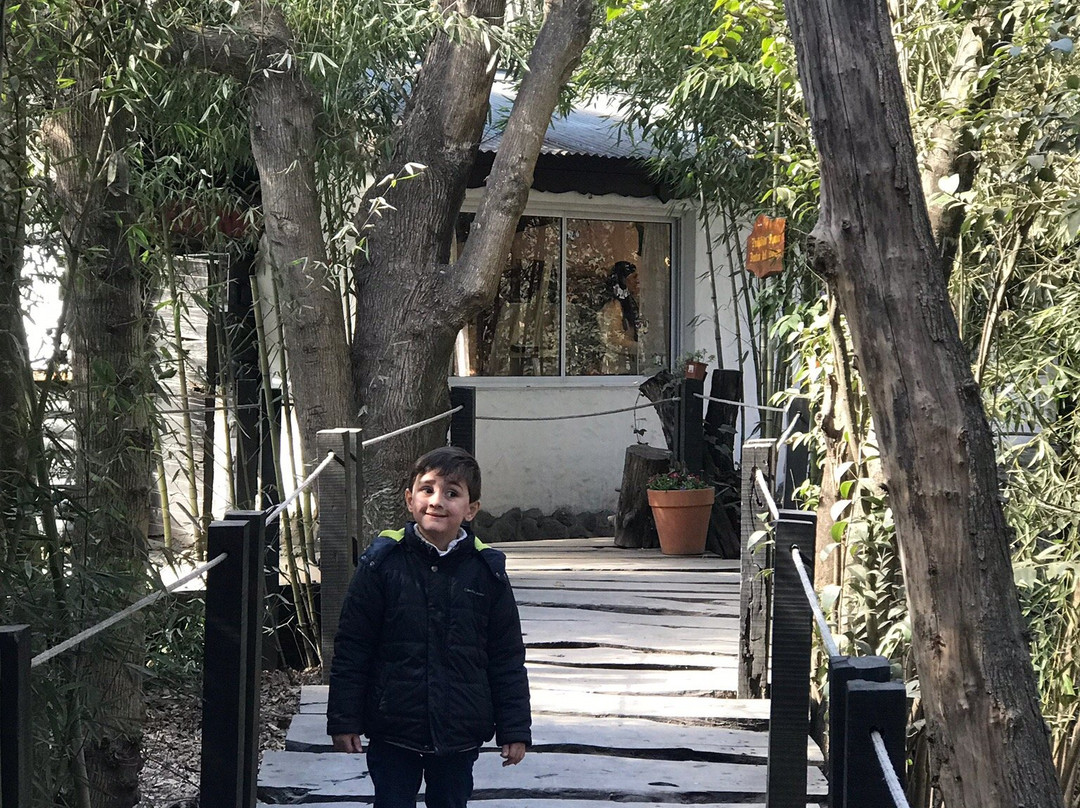 Bosque Encantado de Don Otto景点图片