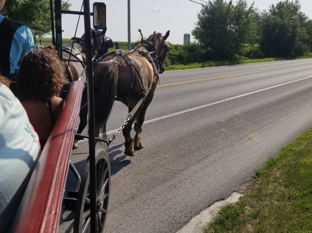 Amish Country Wagon Rides景点图片