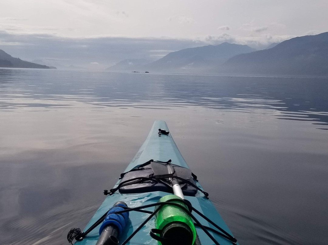 Discovery Expeditions-Telegraph Cove必去景点