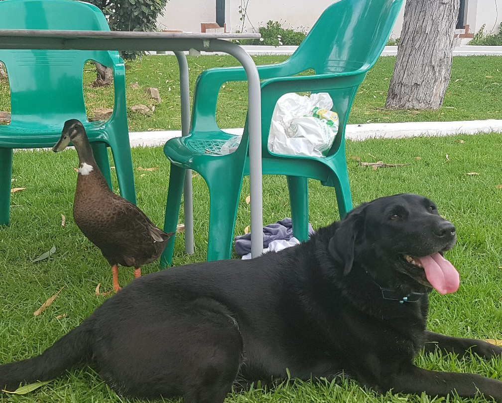 Hotel Rural Terrablanca主图