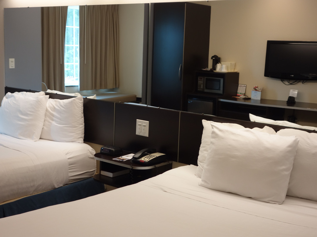 Microtel Inn & Suites By Wyndham Elkhart主图