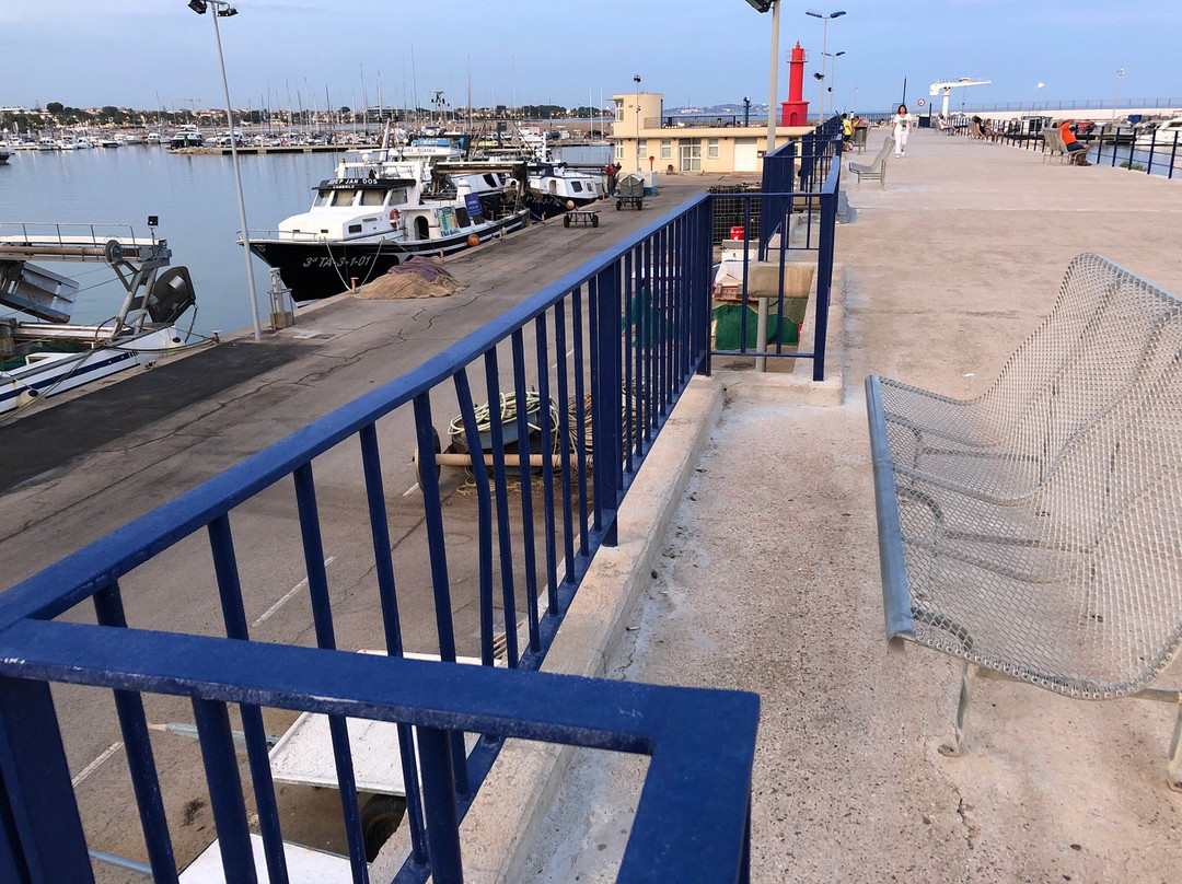 El Faro Rojo景点图片