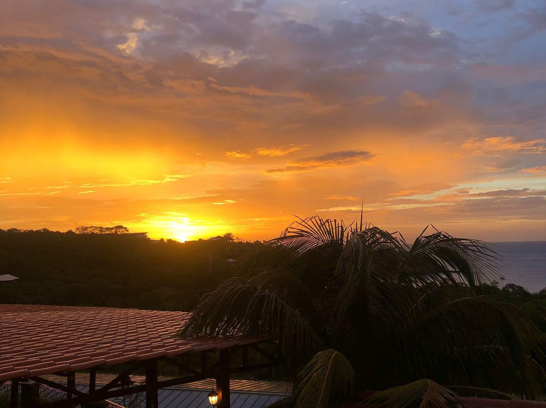 Barefoot Vacation Villas主图