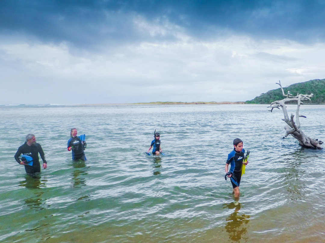 Safari And Surf-Kosi Bay必去景点