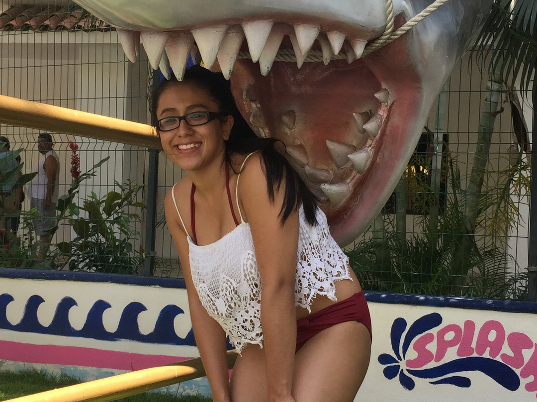 Splash Inn Nuevo Vallarta主图