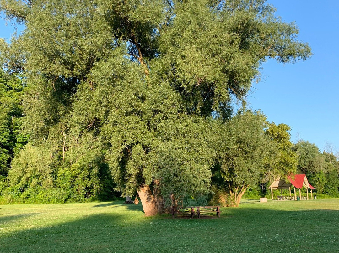 Lion's Valley Park景点图片