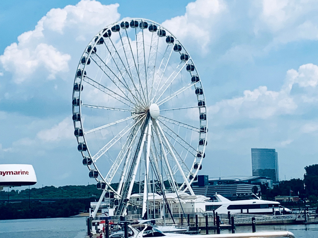 Potomac Water Taxi | City Cruises-亚历山德里亚必去景点
