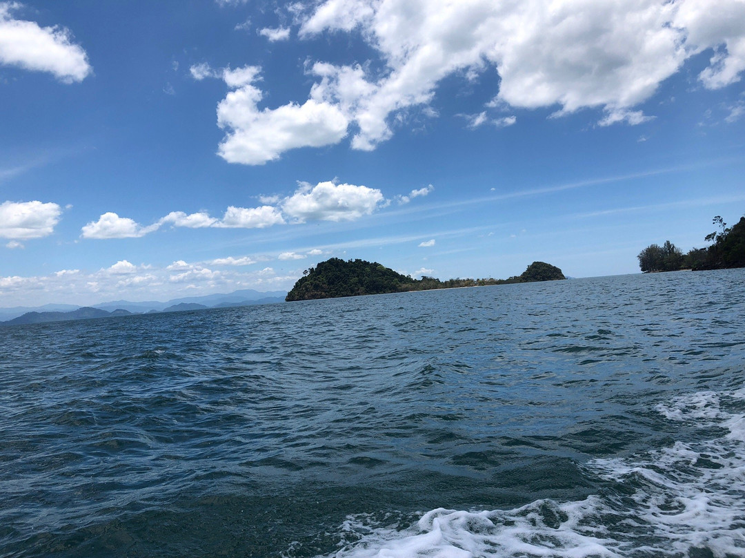Reggae Island Private Island主图