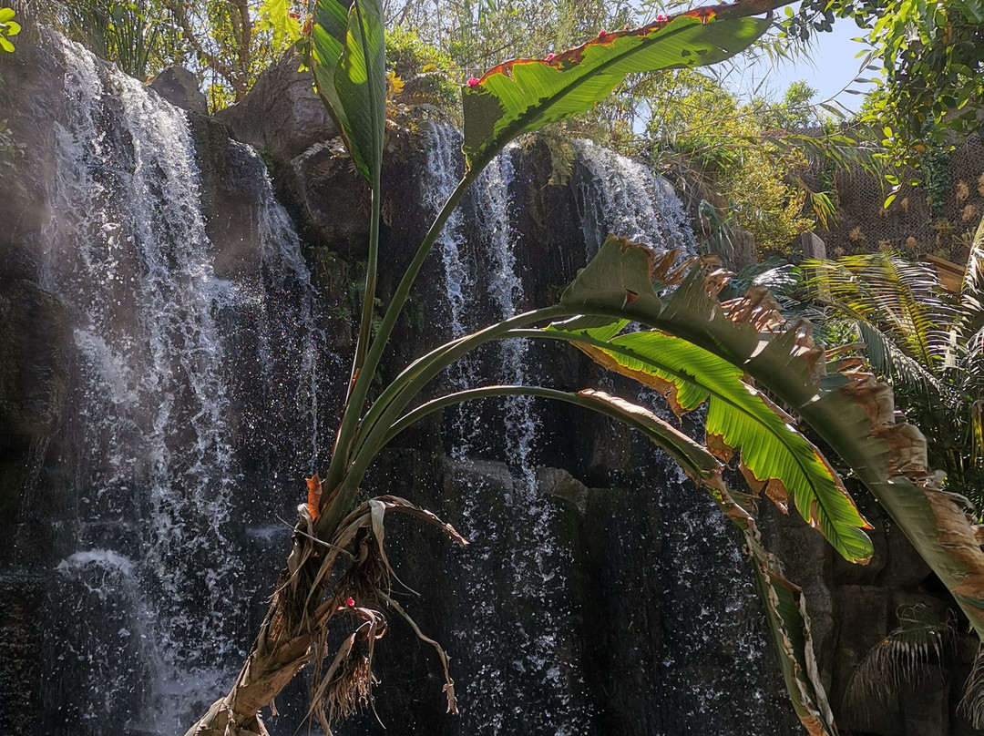 巴尔马水族馆-马洛卡帕尔马必去景点