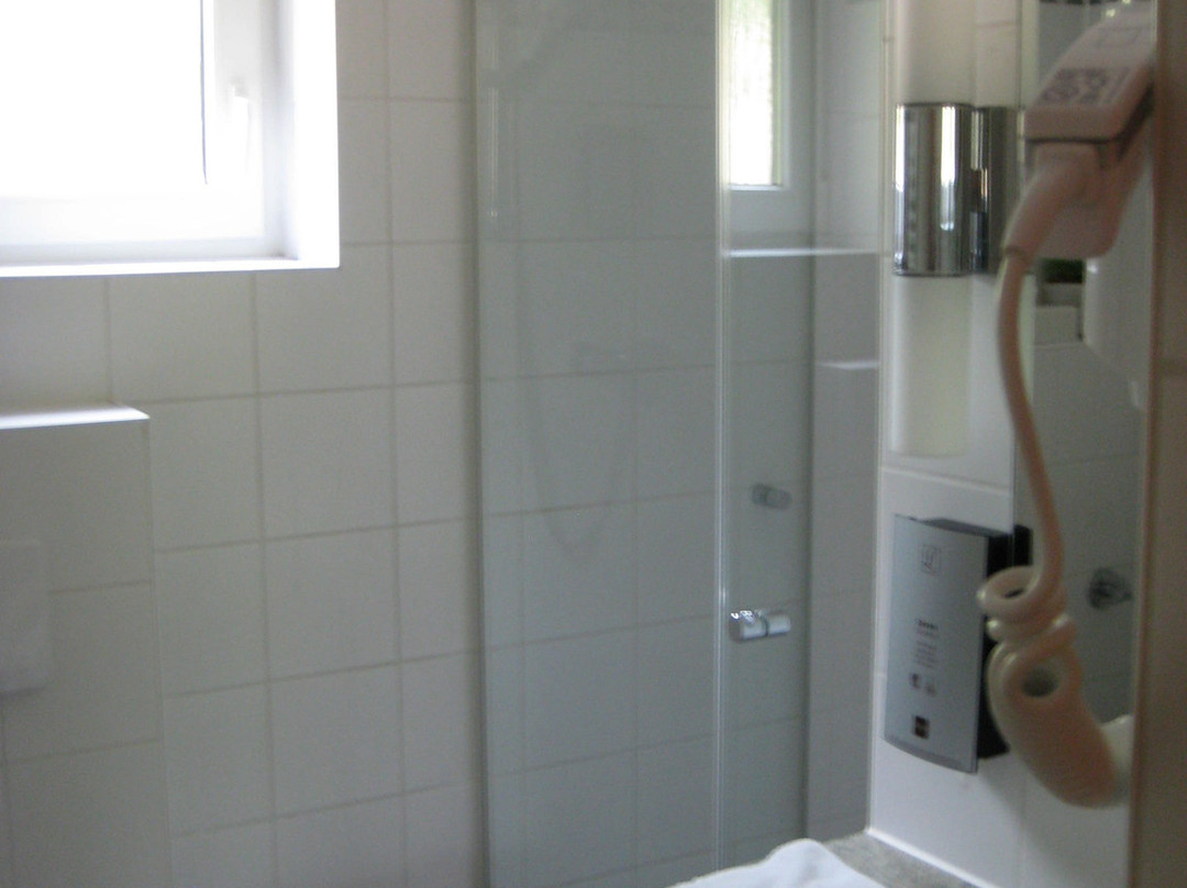 Pfalzhotel Asselheim主图