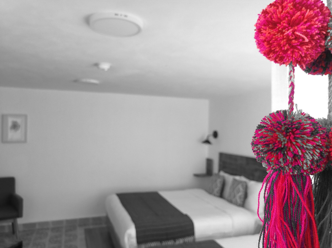 Santa Josefita Bed & Breakfast主图