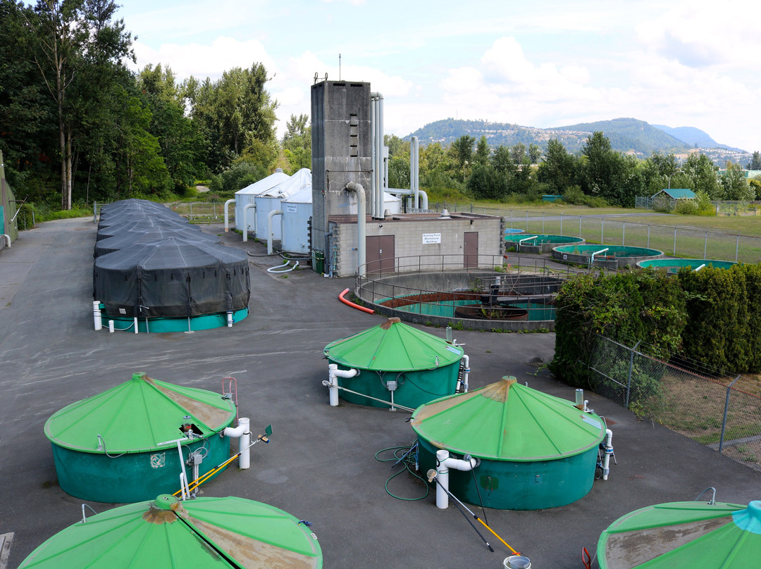 Fraser Valley Trout Hatchery & Visitor Centre景点图片