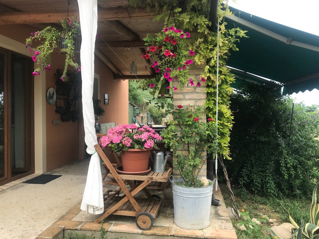 B&B Il Fosso del Gallo-官方