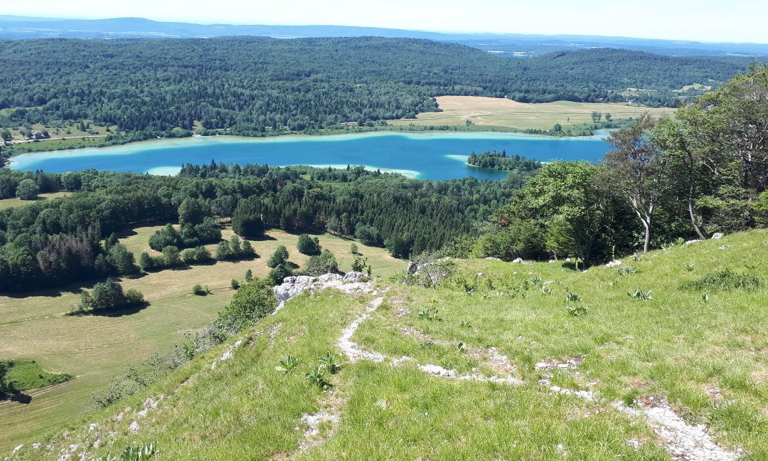 La Ferme du Bois Joli主图