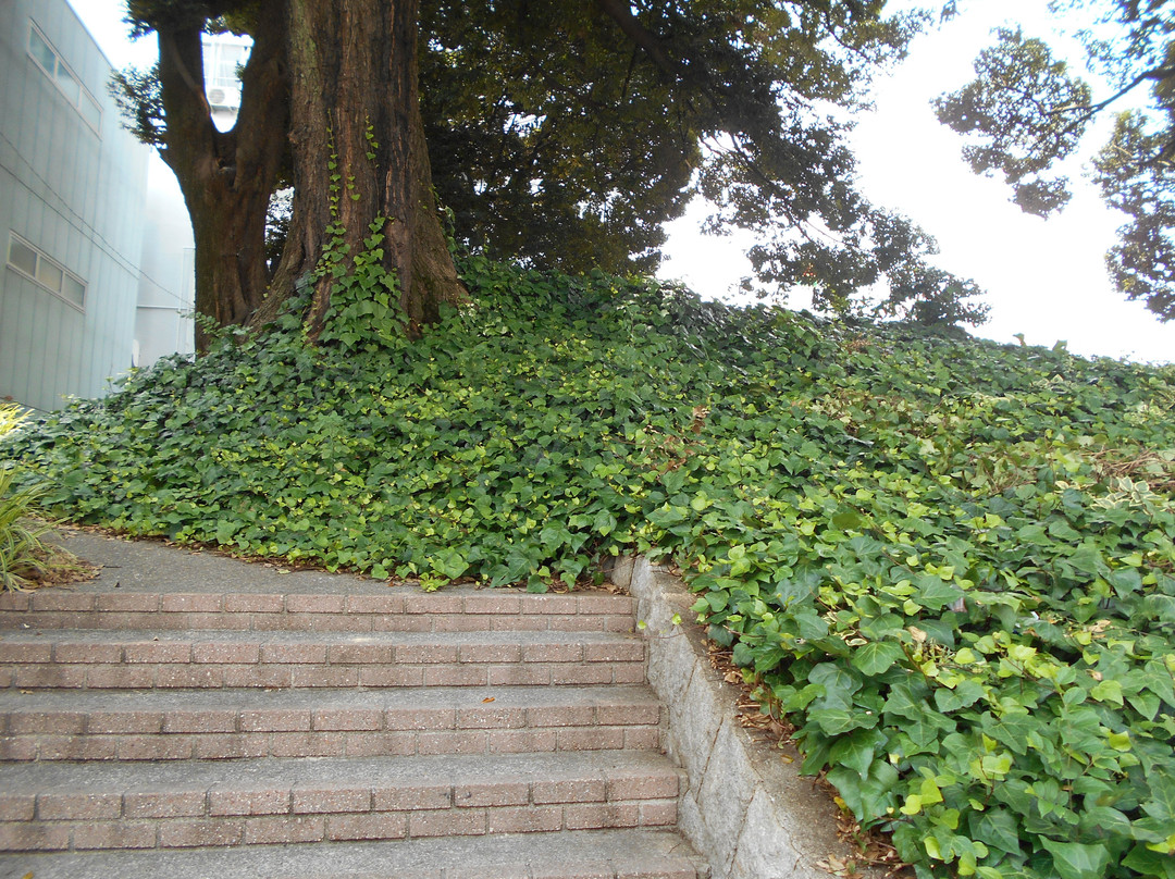 Nagonoyama Ancient Tomb-Osu必去景点