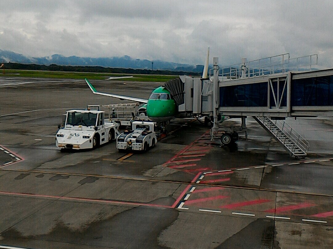 Mt. Fuji Shizuoka Airport General Information Center-牧之原市必去景点